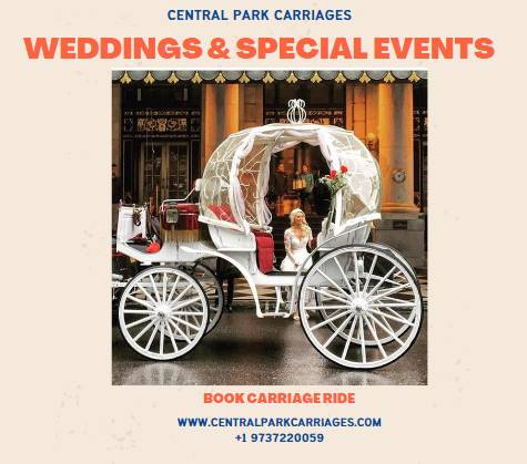 Central Park Carriages