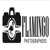  Flamingo Photographers